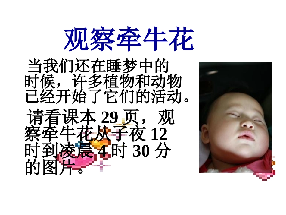 9、一天中的动植物_第3页