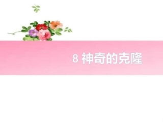 8神奇的克隆