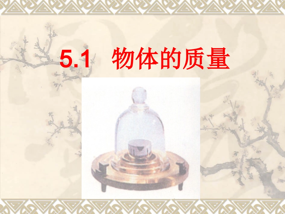 51物体的质量_第1页