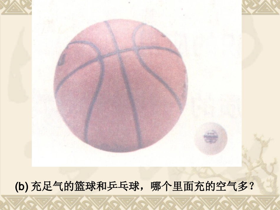 51物体的质量_第3页