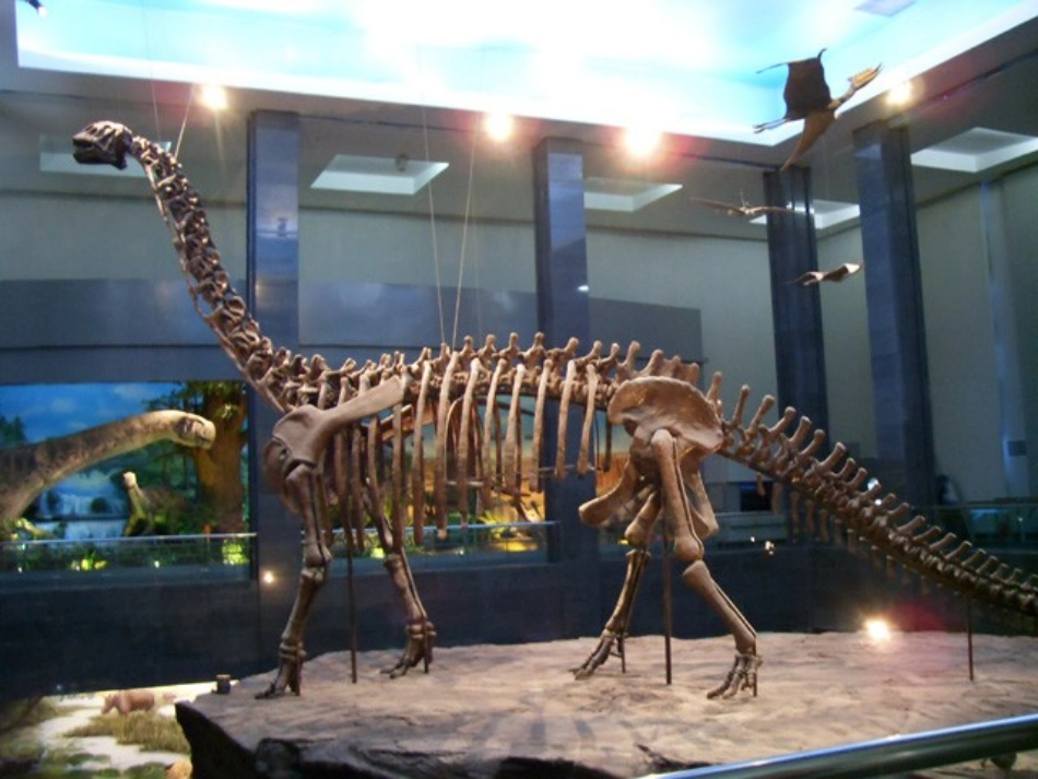 化石告诉我们_第2页