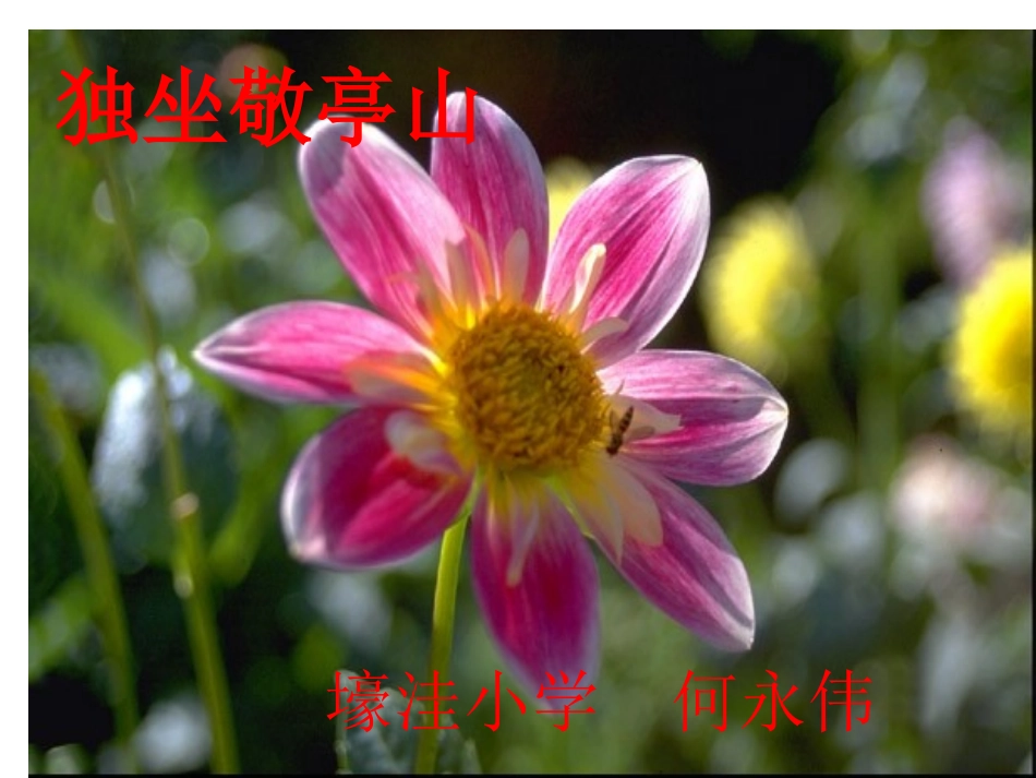 1《独坐敬亭山》课件PPT_第1页