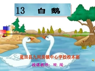 白鹅教学课件