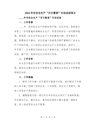 2024年市安全生产“百日督查”行动总结范文