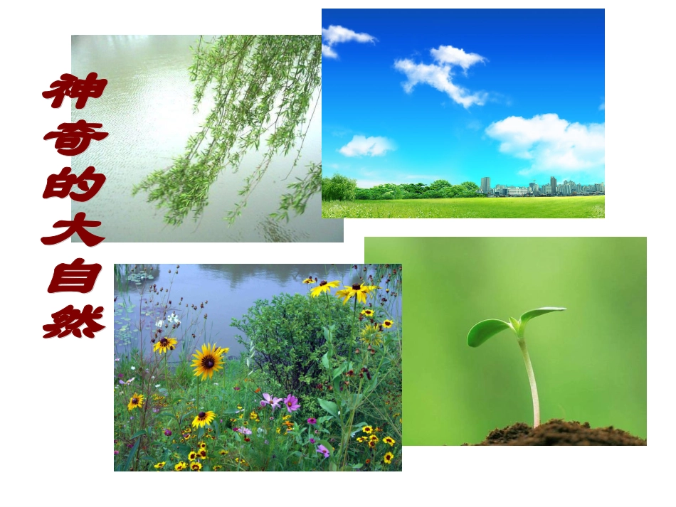 苏版三下习作3_第3页