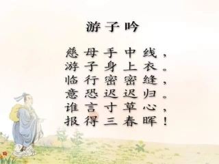 18慈母情深PPT(1)