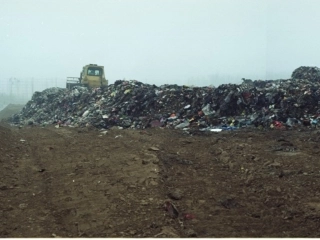 34土壤中有什么？