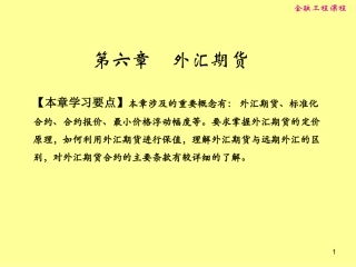 第六章外汇期货