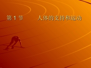 第1节人体的支持