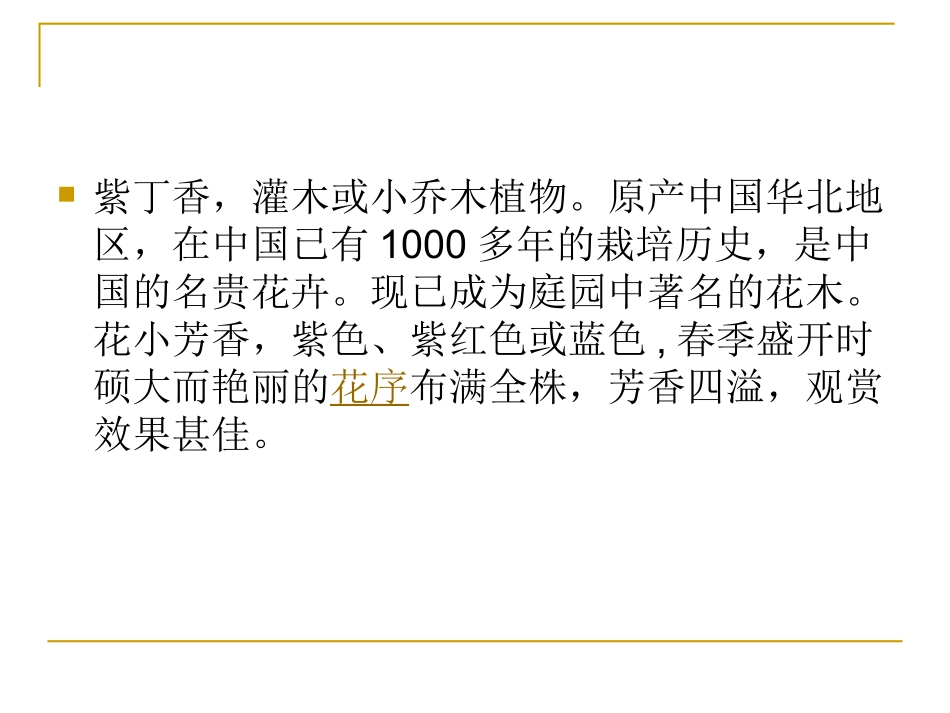 5《窗前一株紫丁香》课件_第2页