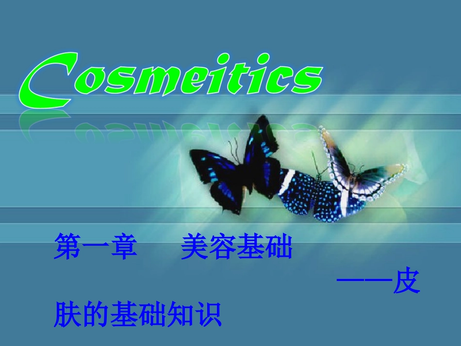 美容基础知识_第2页