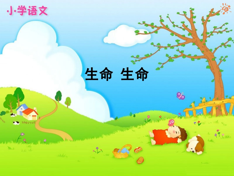 19生命生命_第1页