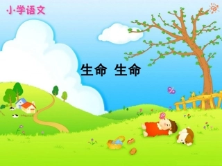 19生命生命