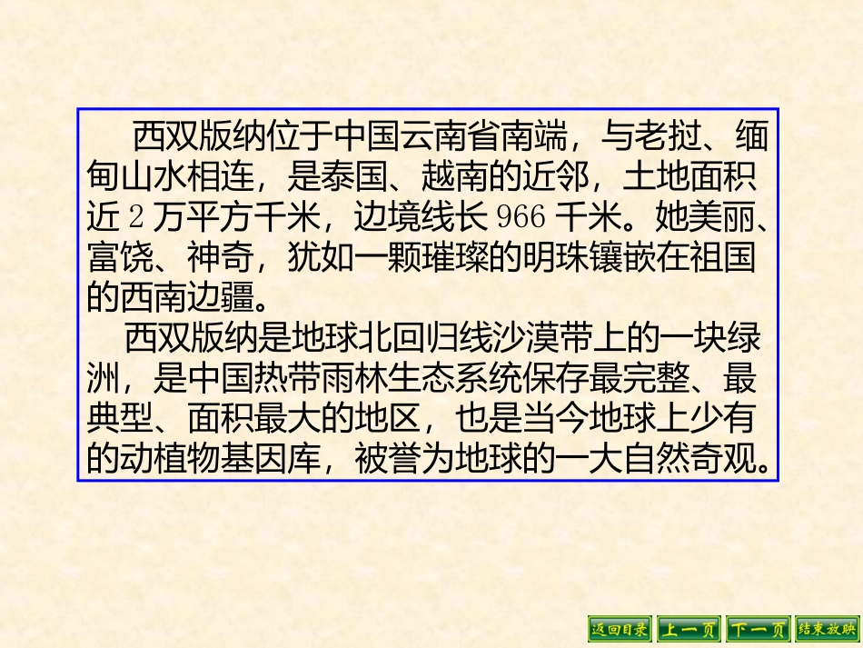 美丽的西双版纳_第3页