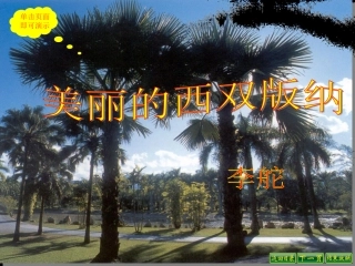 美丽的西双版纳