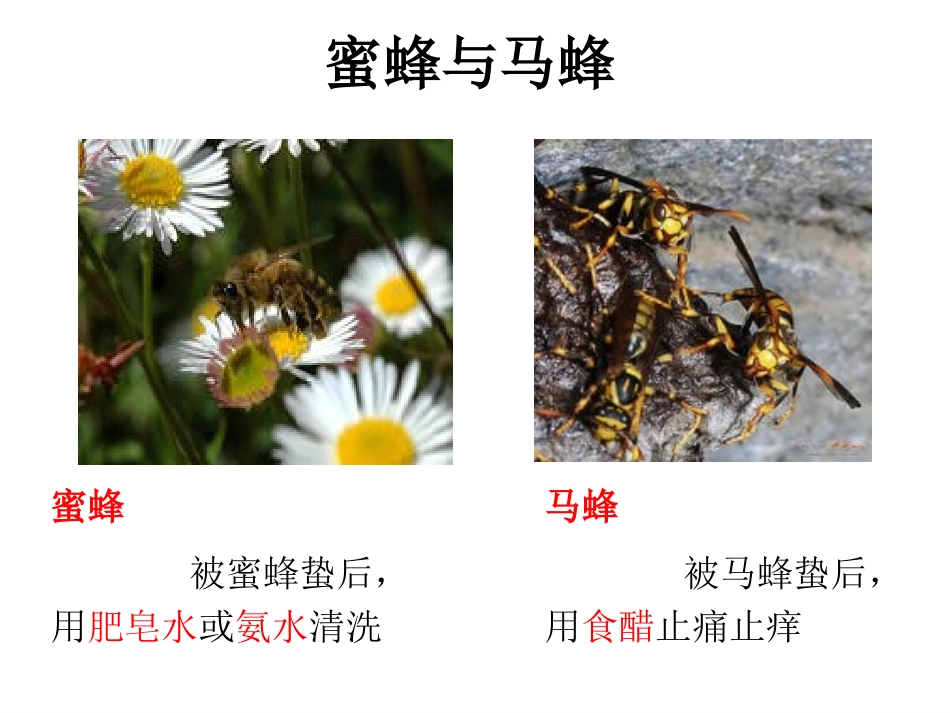 中和反应课件_第2页