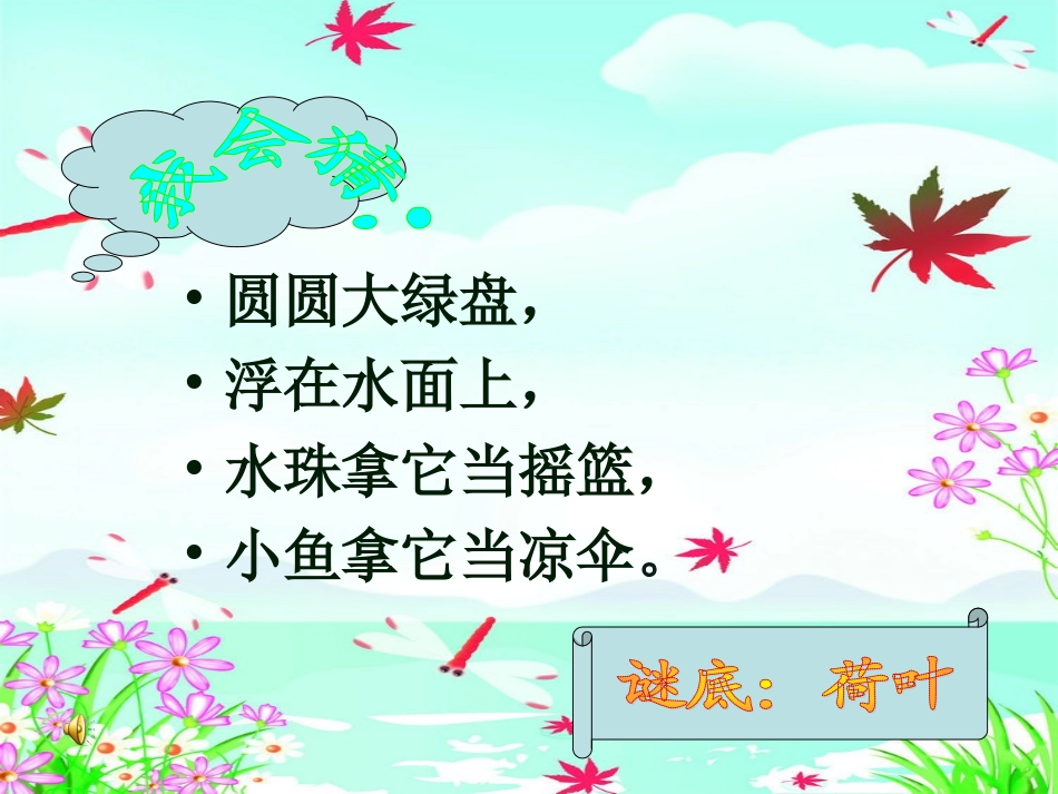荷叶圆圆彭莉莉_第1页