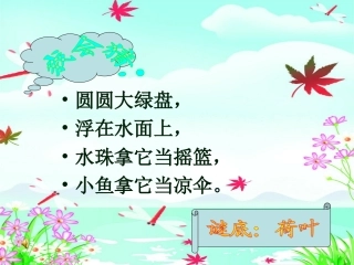 荷叶圆圆彭莉莉