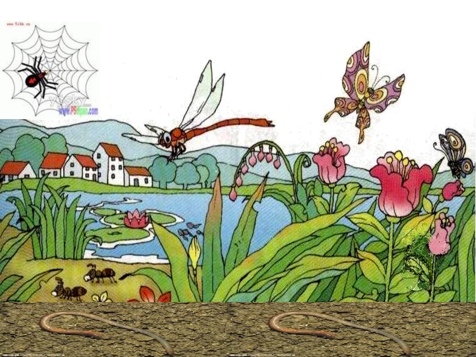 已编辑PPT_第1页