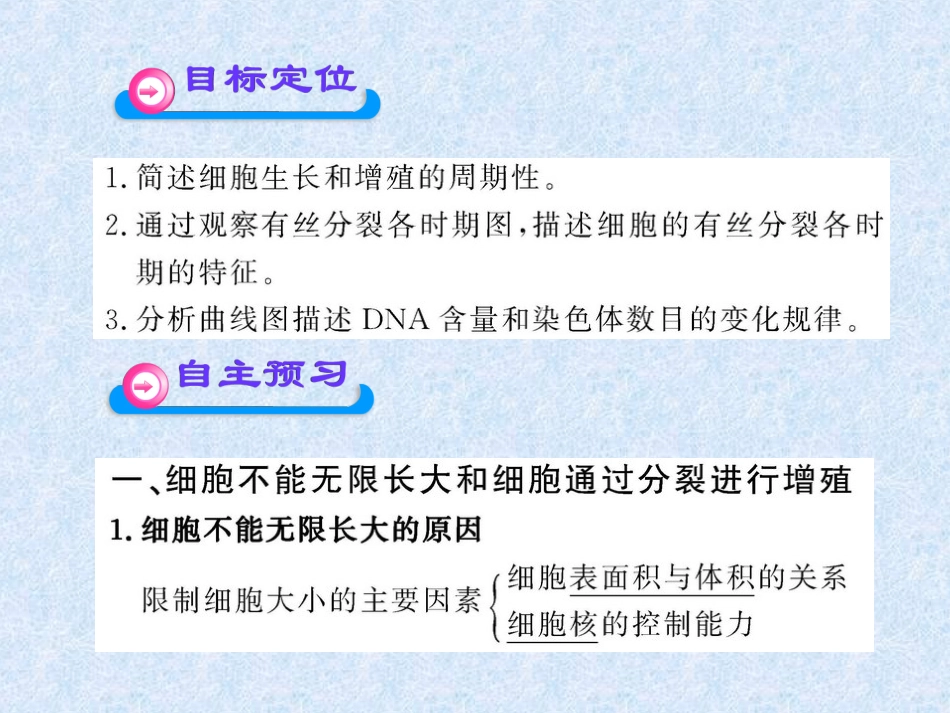 61有丝分裂_第3页