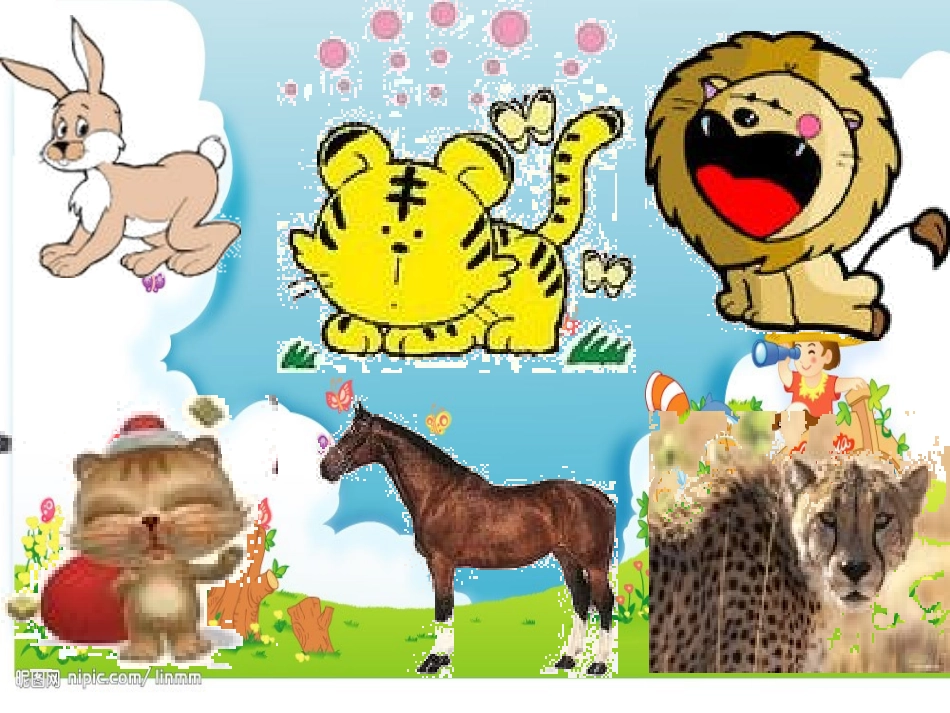 数学动物运动会_第3页