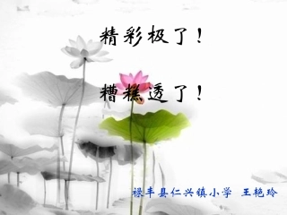 19《精彩极了和糟糕透了》第一课时
