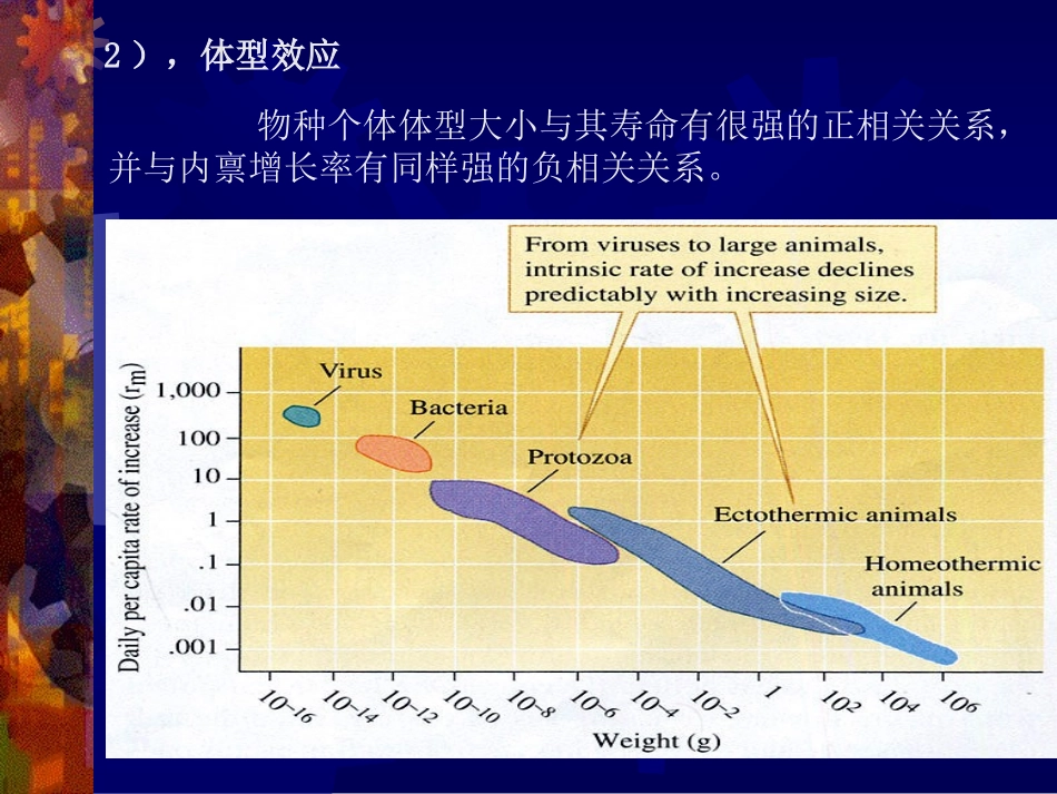 6、生活史对策_第2页