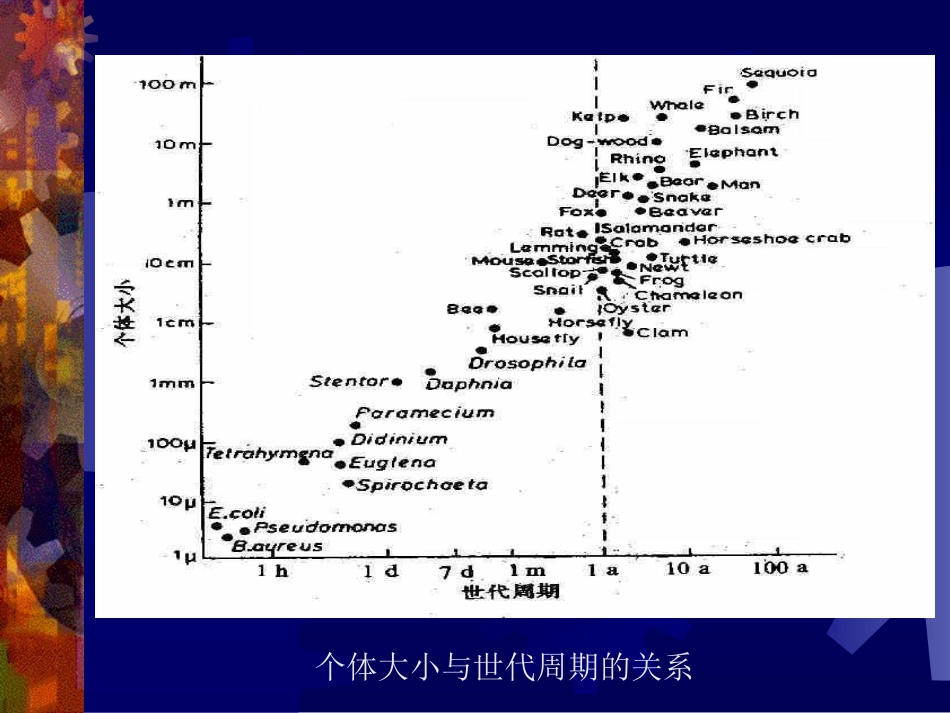 6、生活史对策_第3页