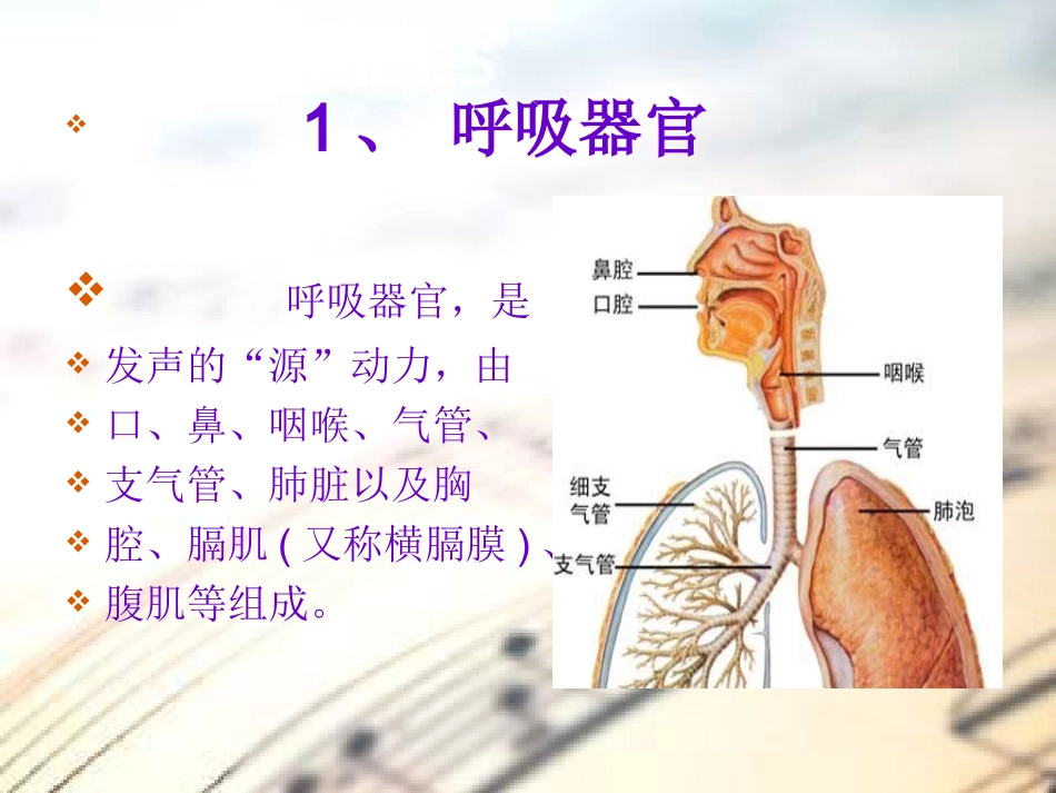 歌唱基础知识_第2页