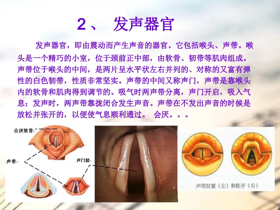 歌唱基础知识_第3页