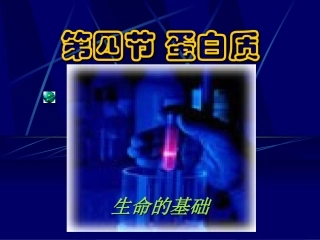 蛋白质（正版）