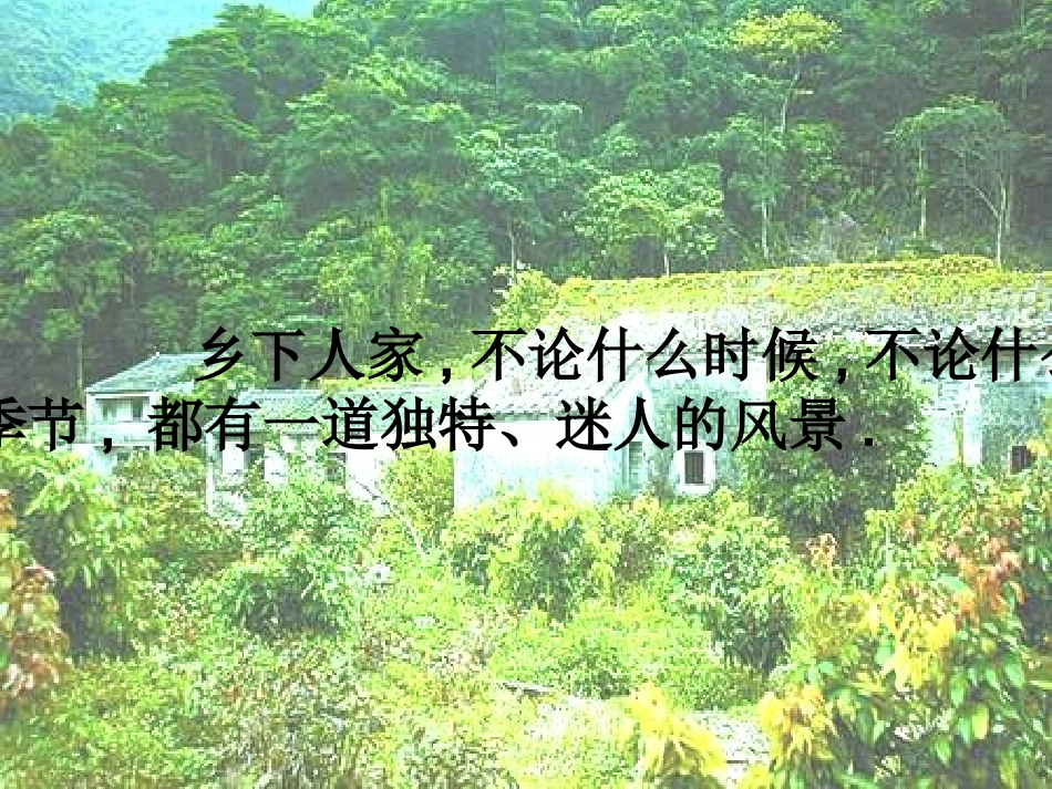 课件乡下人家3_第2页
