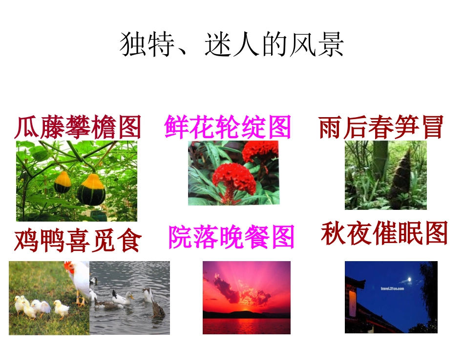 课件乡下人家3_第3页