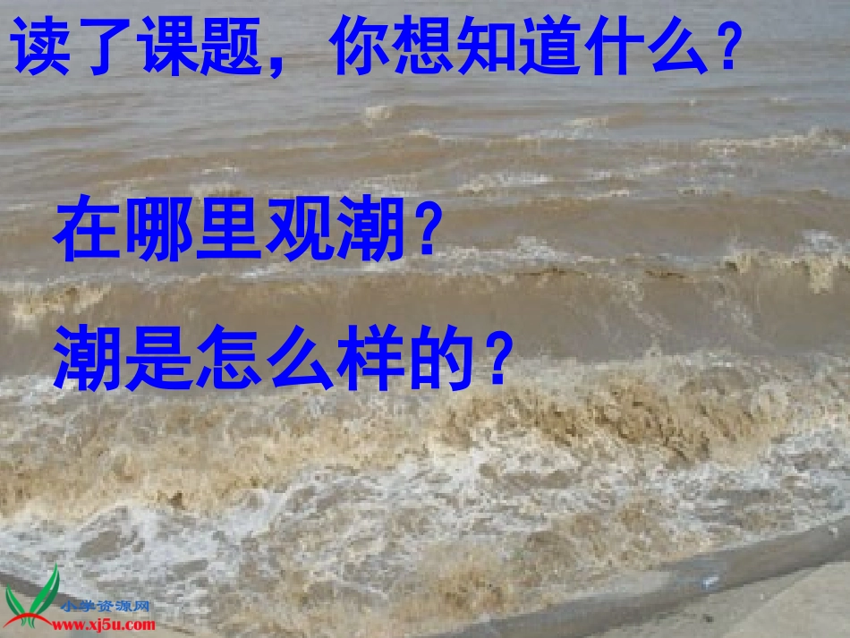 课件_观潮__第3页