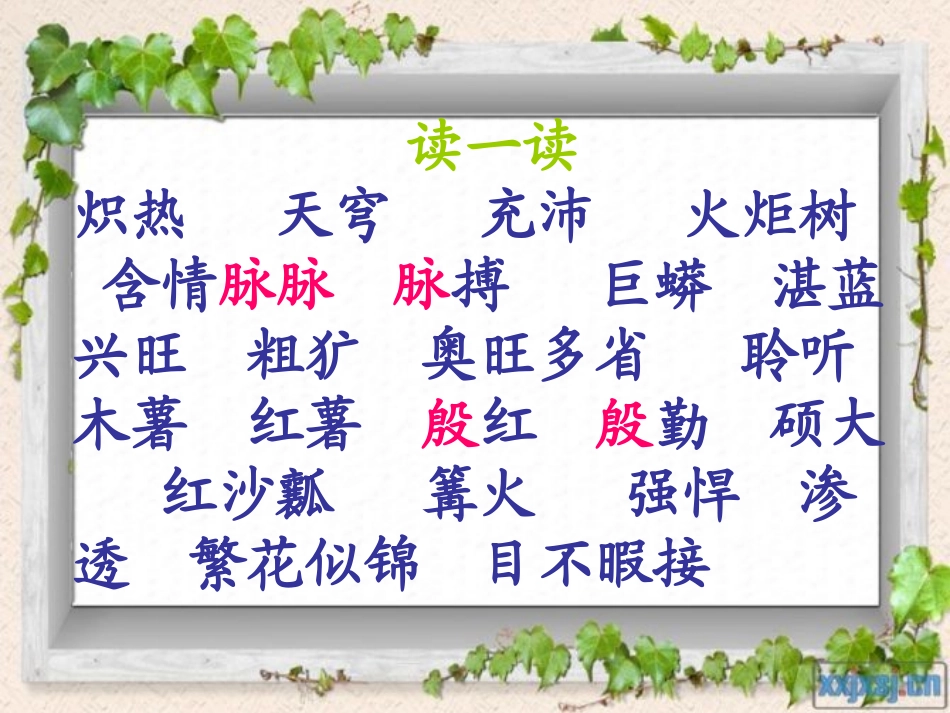彩色的非洲课件_第2页