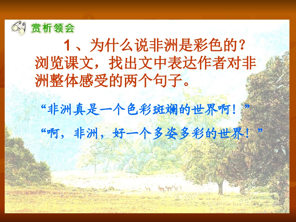 彩色的非洲课件_第3页