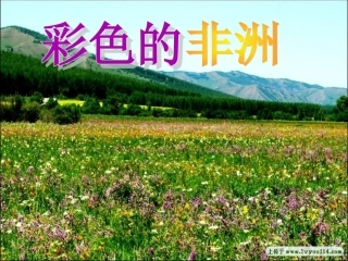 彩色的非洲课件