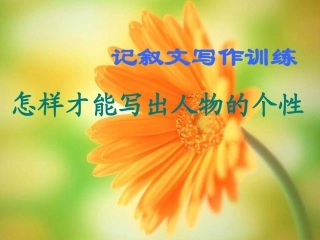 人物肖像描写