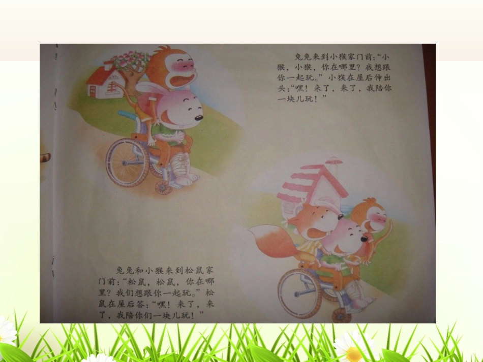 坐轮椅的兔兔_第3页