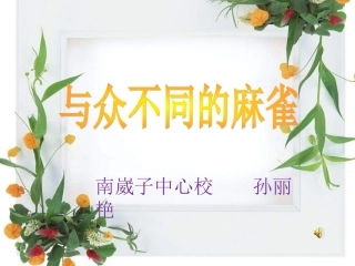 与众不同的麻雀