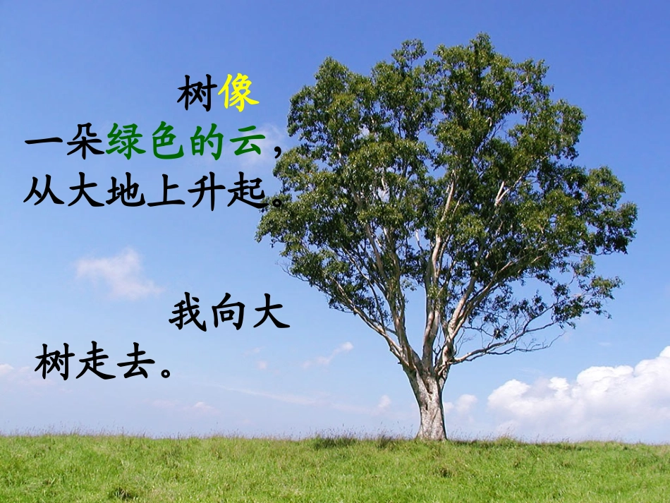 4做一片美的叶子_第3页