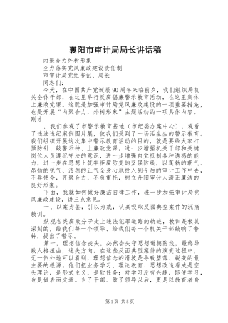 襄阳市审计局局长讲话发言稿