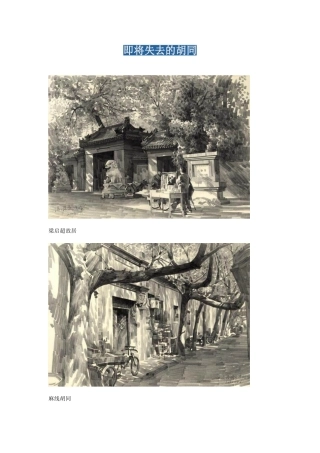 即将失去的胡同