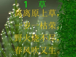 2、古诗草PPT课件