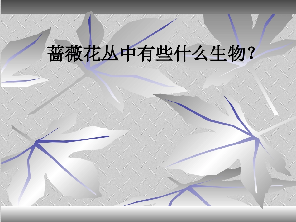 食物链和食物网_第3页