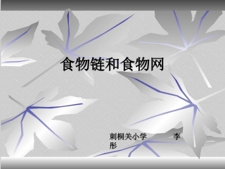 食物链和食物网