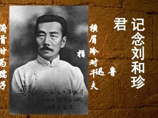 纪念刘和珍君e