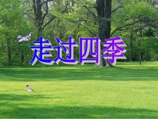 《走过四季》