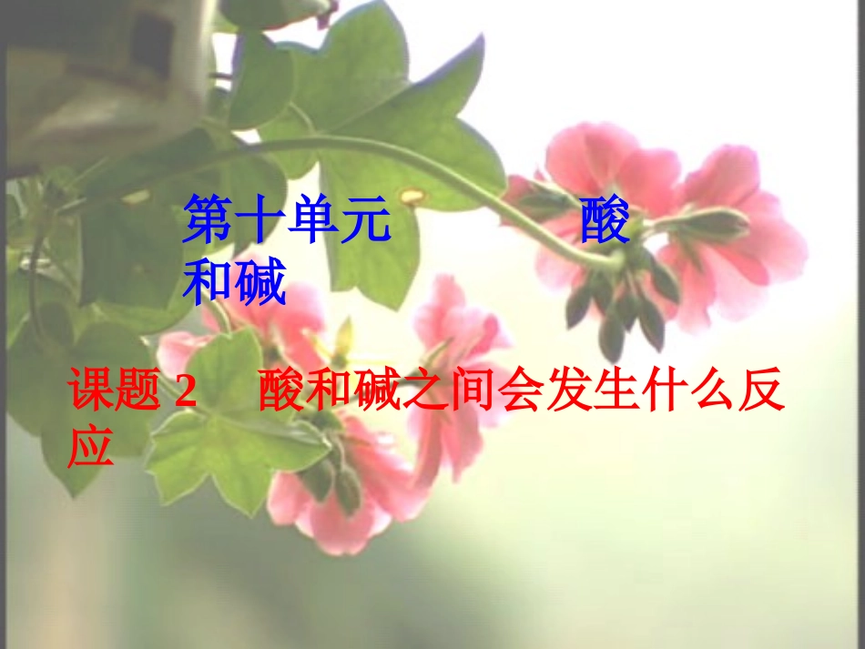 第十单元课题2酸和碱之间会发生什么反应(第1课时课件)_第2页