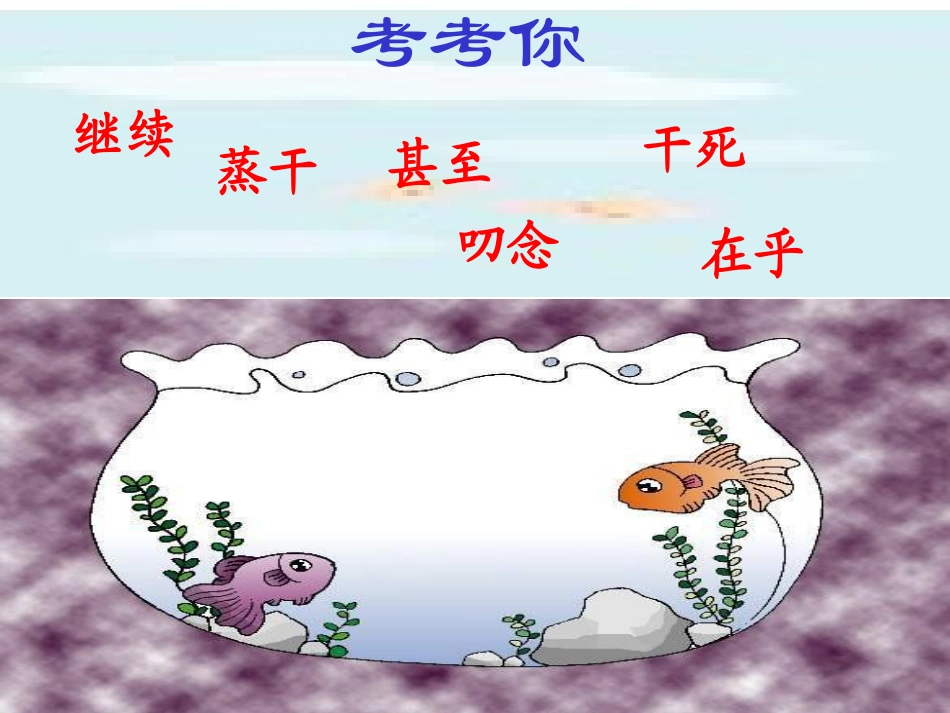 潜水洼里的鱼_第1页